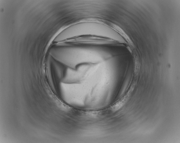 X0000074000908200609111555