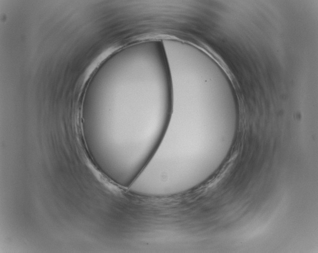 X0000074000909200609111555