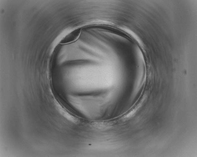 X0000074000910200609111555