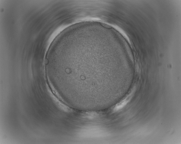 X0000074000911200609111555