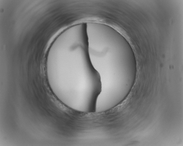 X0000074000912200609111555