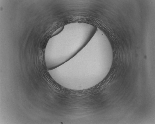 X0000074000914200609111554