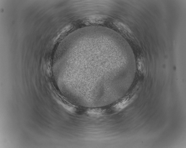 X0000074000915200609111554