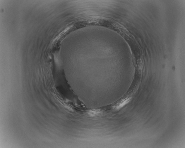 X0000074000916200609111554