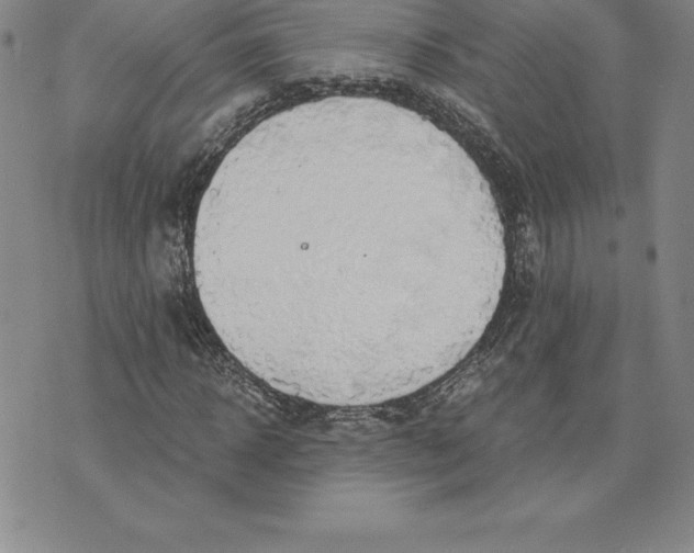 X0000074000918200609111554