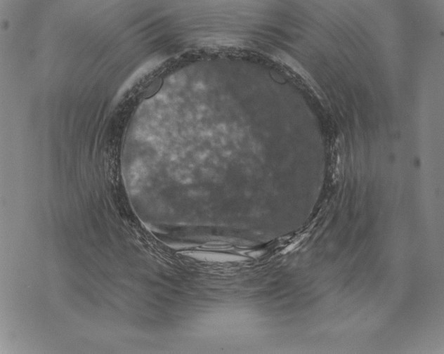 X0000074000919200609111554