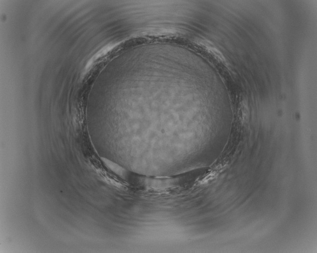 X0000074000920200609111554