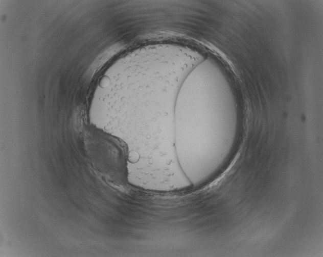 X0000074000921200609111554