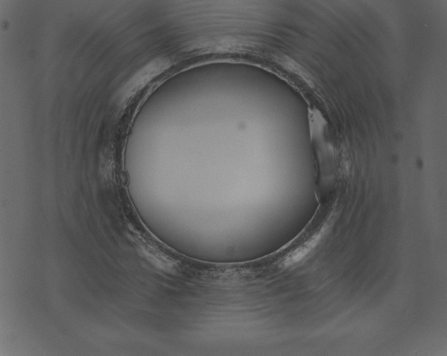 X0000074000922200609111554