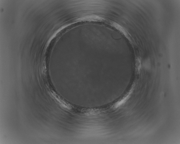 X0000074000923200609111554