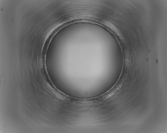 X0000074000924200609111554