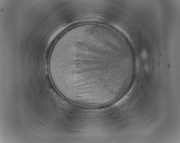 X0000074000925200609111554