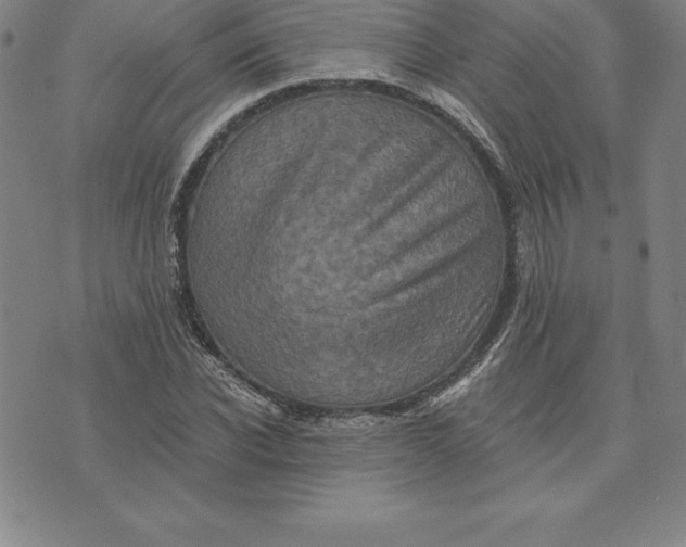 X0000074000926200609111554