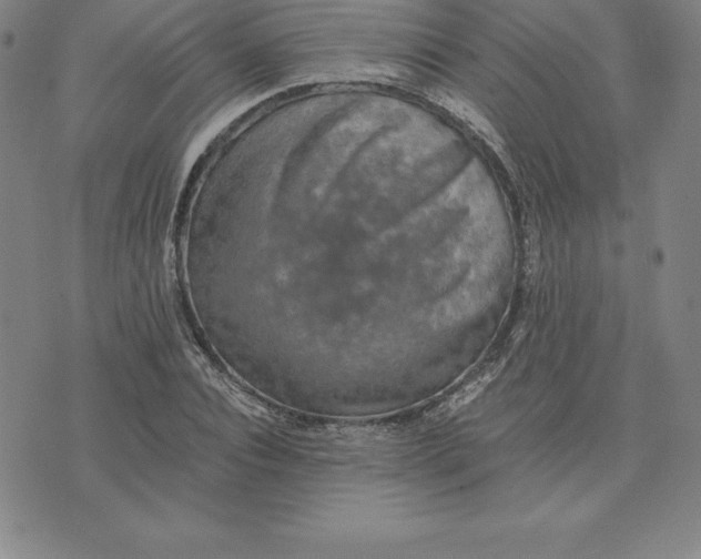 X0000074000928200609111554