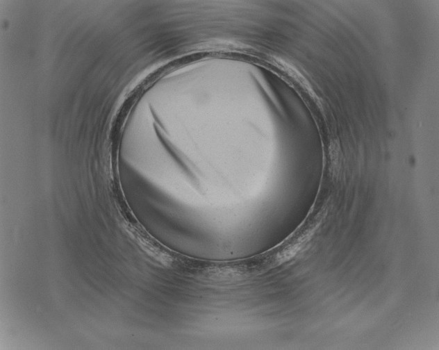 X0000074000931200609111555