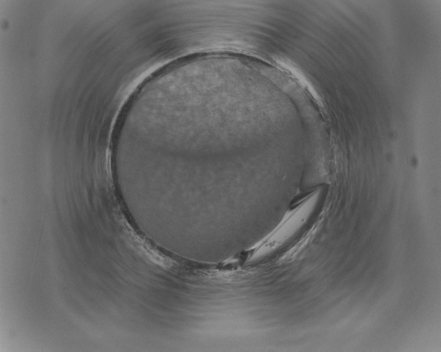 X0000074000932200609111555