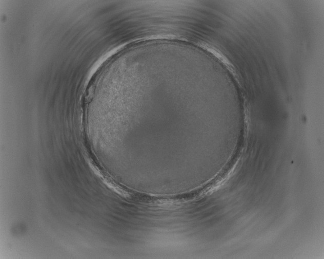 X0000074000933200609111555