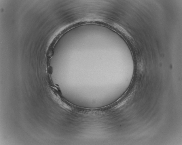 X0000074000934200609111555