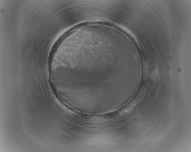 X0000074000935200609111555