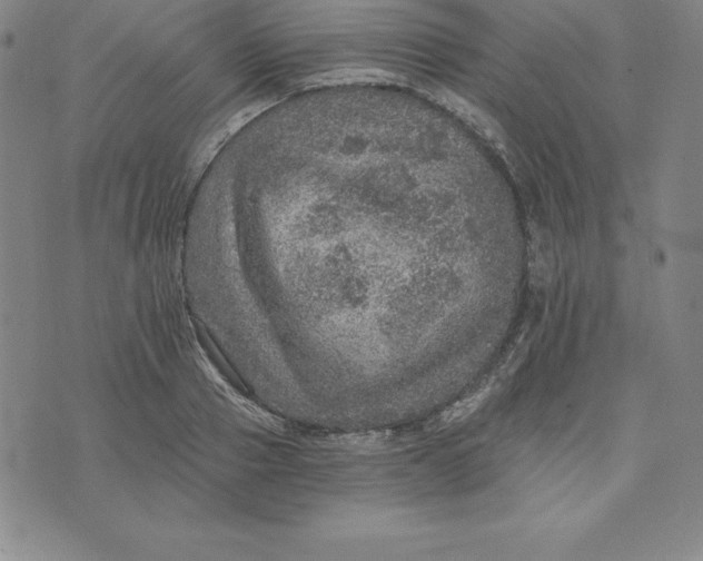 X0000074000937200609111555