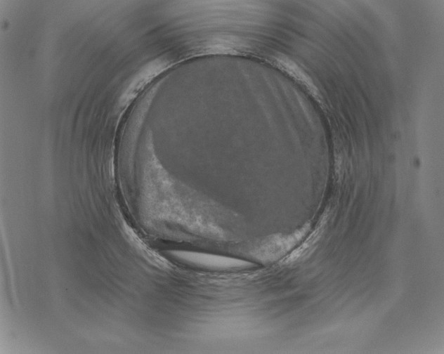 X0000074000938200609111555