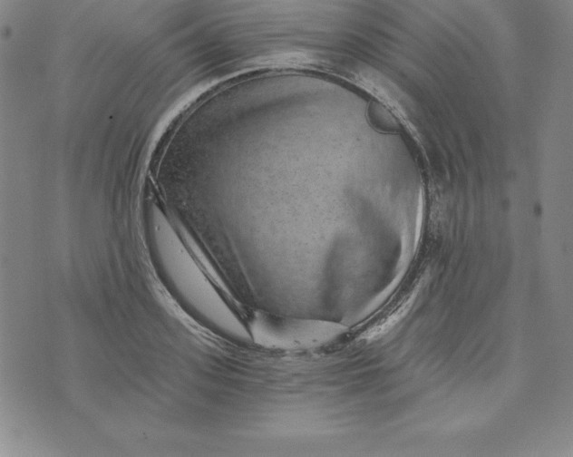 X0000074000939200609111555