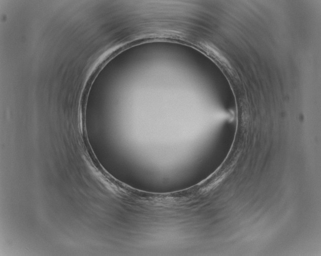 X0000074000940200609111555