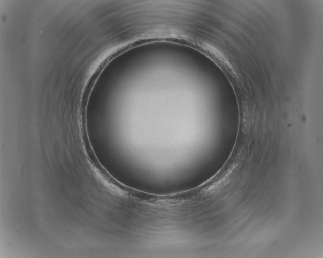 X0000074000942200609111555