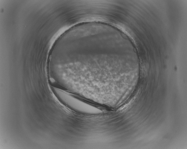 X0000074000943200609111555