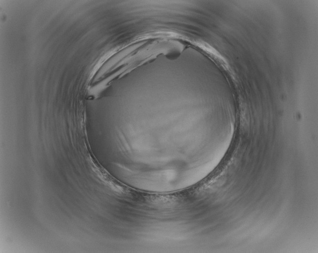 X0000074000945200609111555