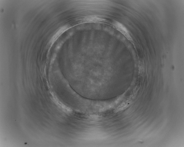 X0000074000946200609111555