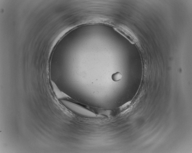 X0000074000948200609111555