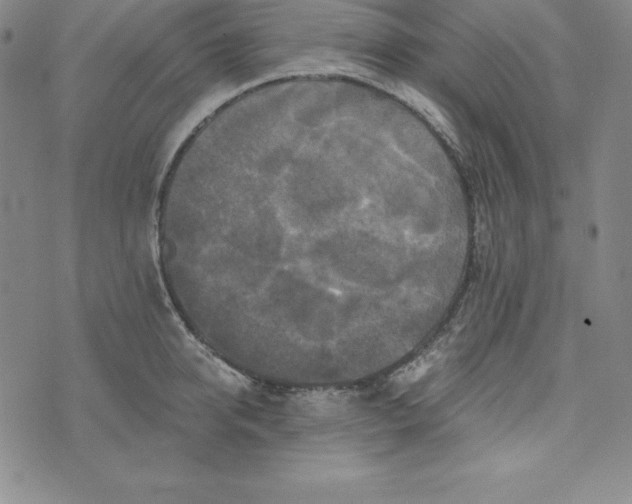 X0000074000950200609111555