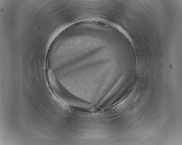 X0000074000951200609111555