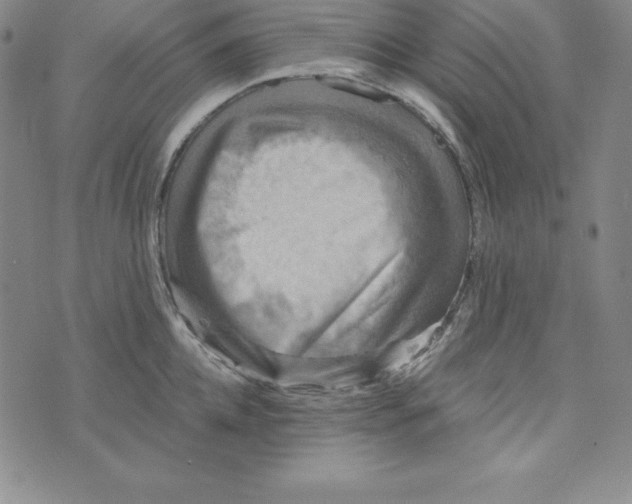 X0000074000952200609111555