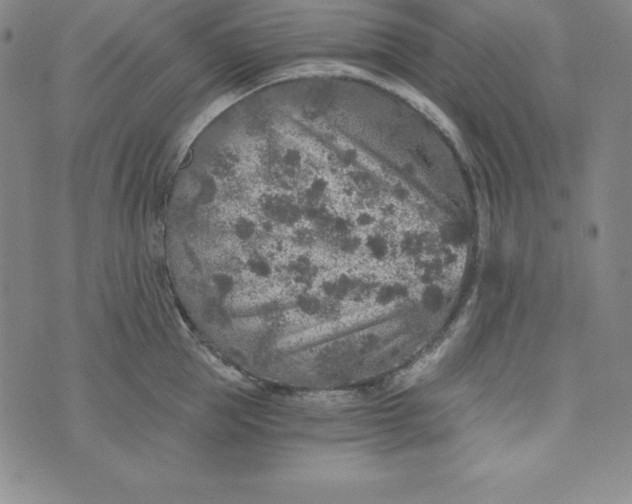 X0000074000953200609111555