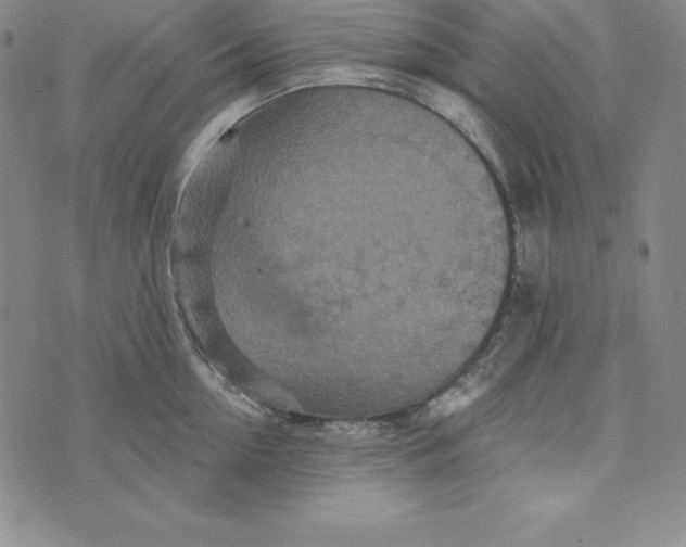 X0000074000954200609111555