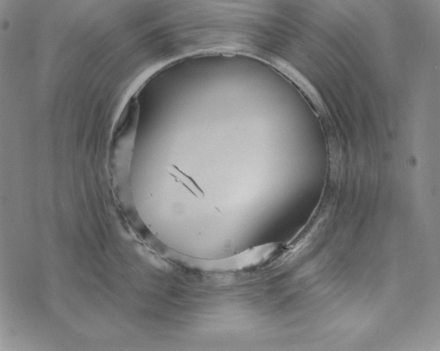 X0000074000956200609111555