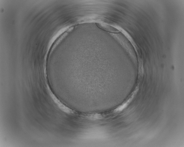 X0000074000957200609111555