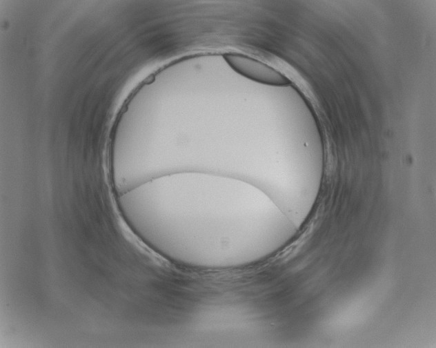 X0000074000958200609111555