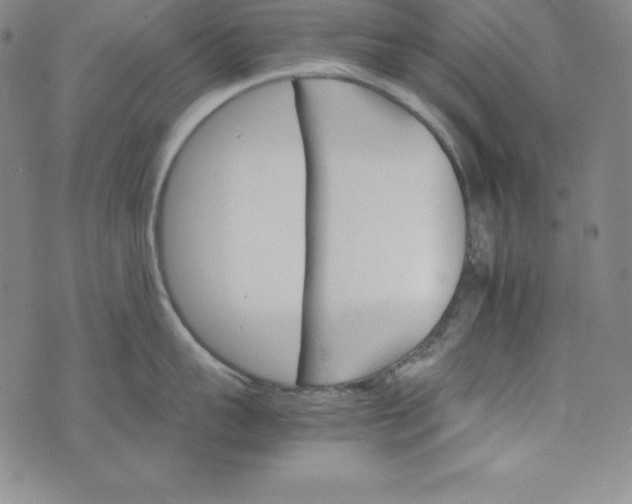 X0000074000959200609111555