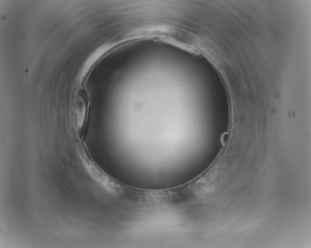 X0000074000960200609111555