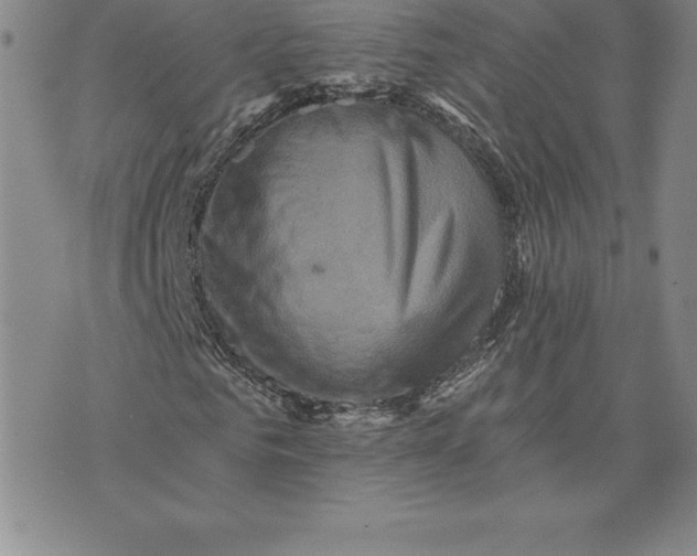 X0000074000961200609111554