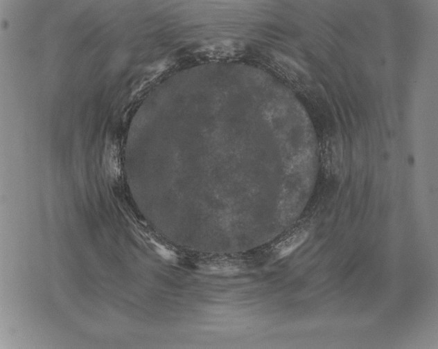 X0000074000962200609111554