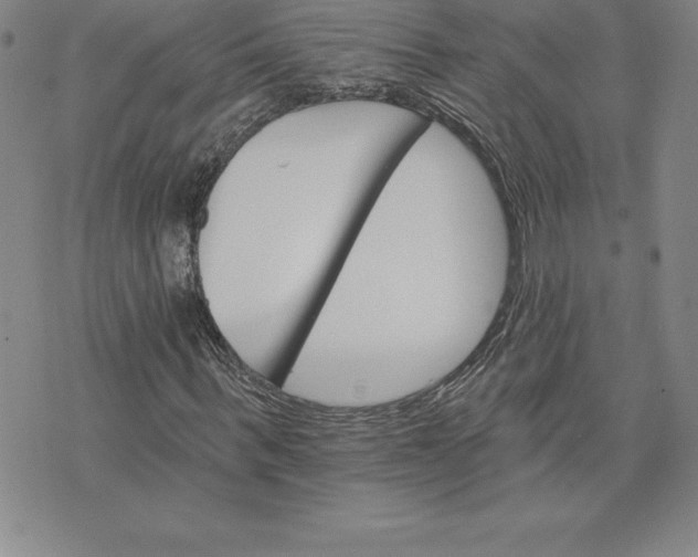 X0000074000963200609111554