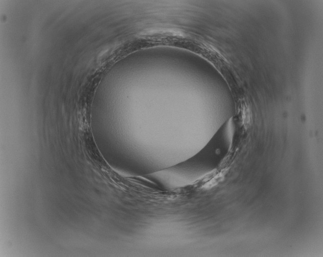 X0000074000965200609111554