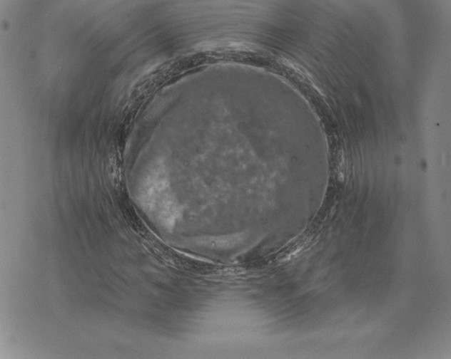 X0000074000966200609111554