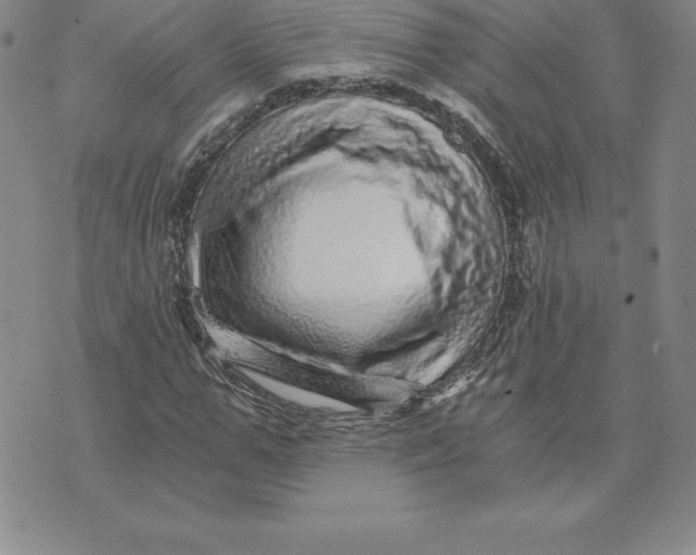 X0000074000967200609111554