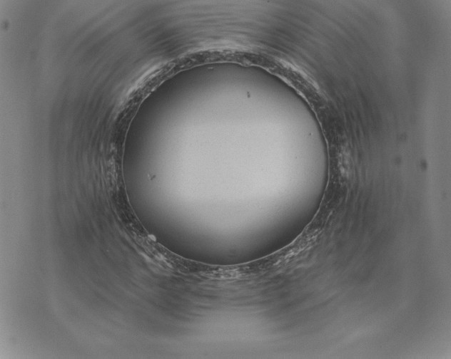 X0000074000968200609111554