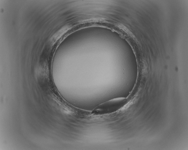 X0000074000969200609111554